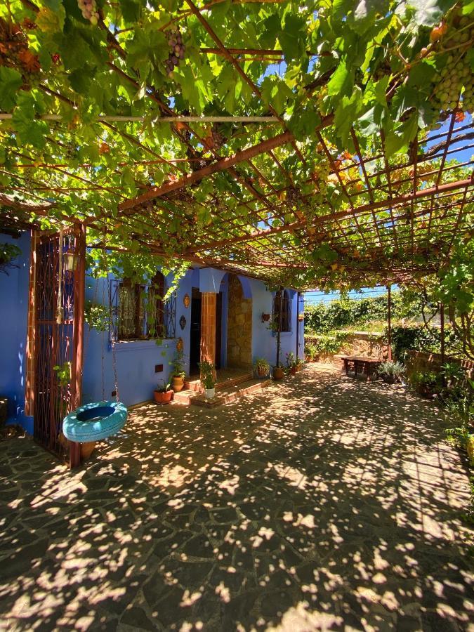 Villa Authentique Avec Vue Panoramique A 3 Km De Chefchaouen Exterior photo